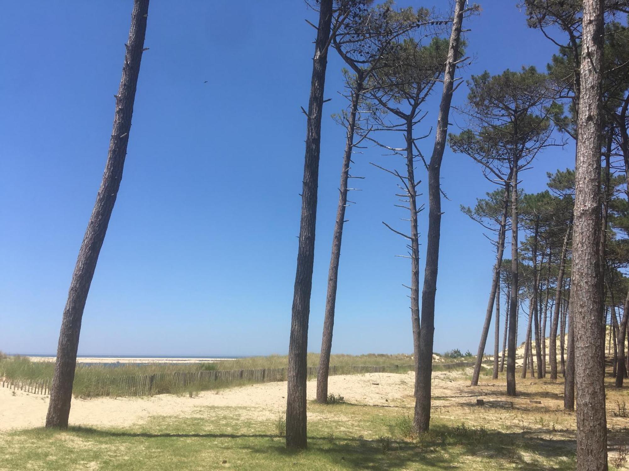 Appartement Spacieux Arcachon Eksteriør bilde