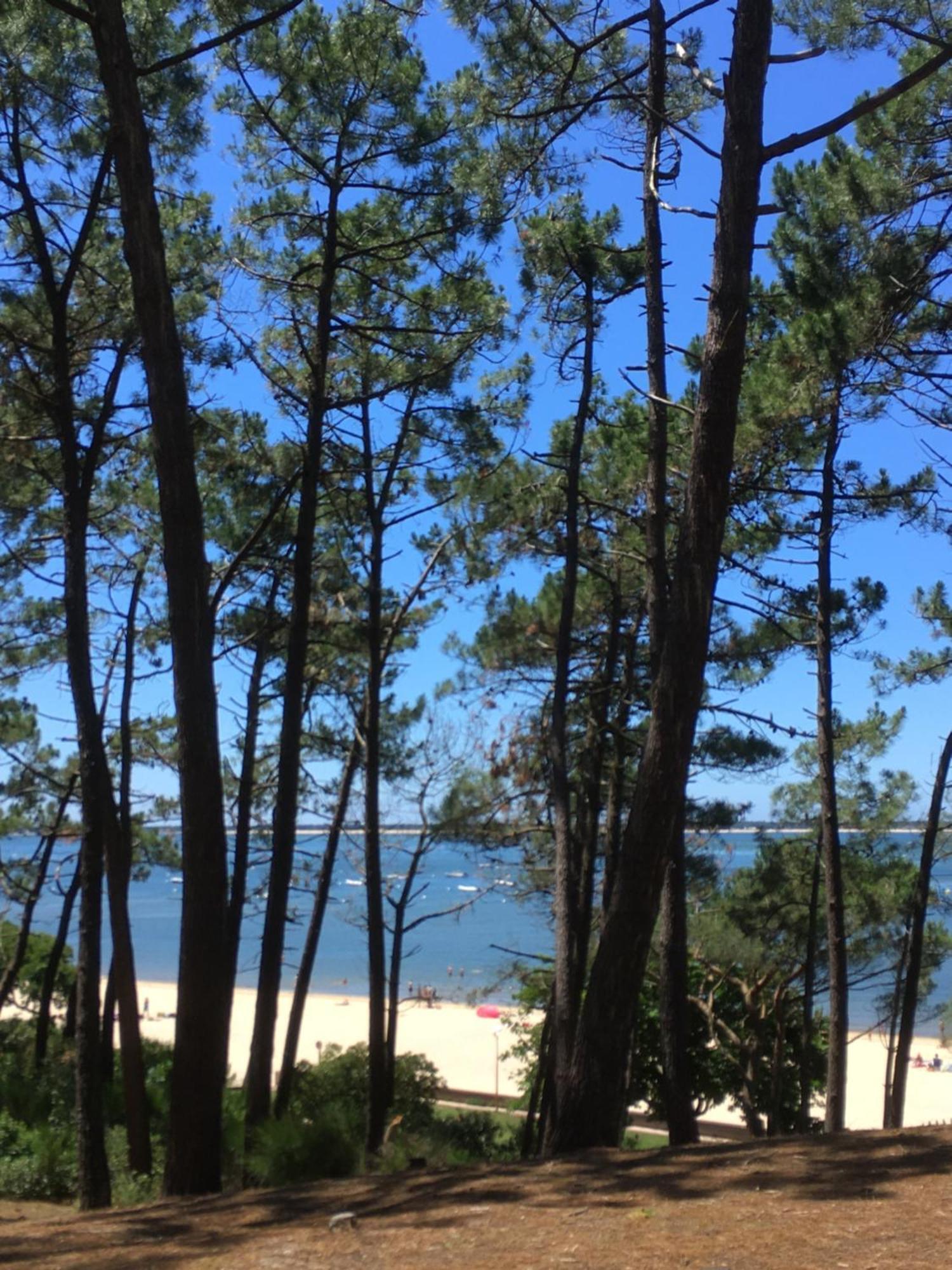 Appartement Spacieux Arcachon Eksteriør bilde